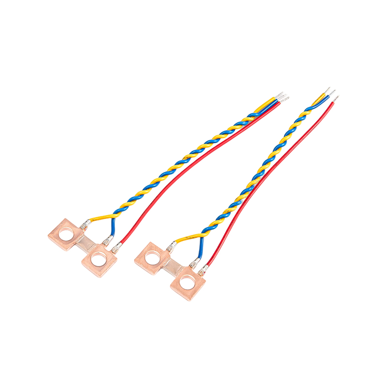 FHS-005 High precision low resistance copper shunt