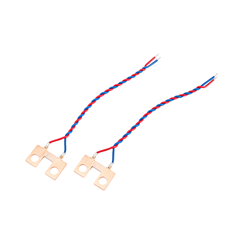 FHS-006 High precision two-wire copper shunt