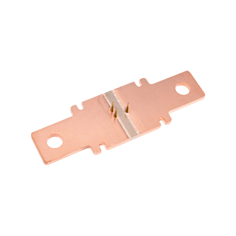 FHS-024 Special shunt for smart meter measurement