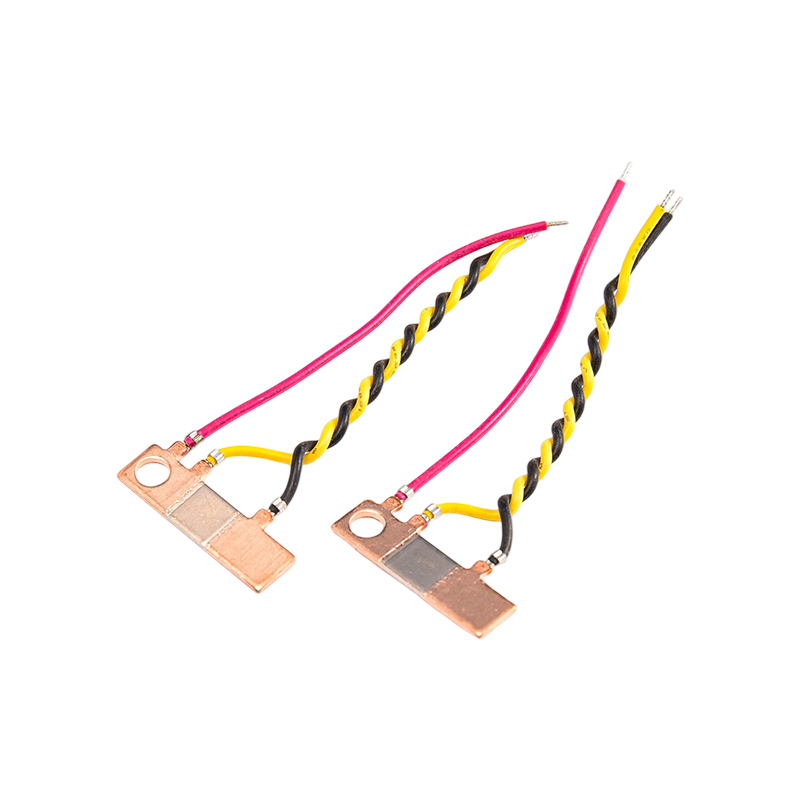 FHS-013 High stability temperature resistant shunt