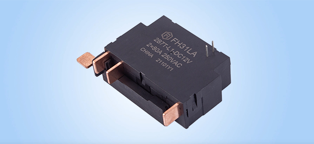 FH31LA Electric Latching Relay